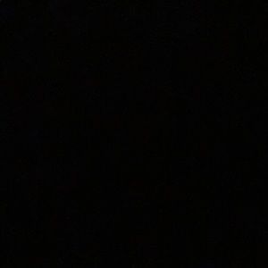 Meet your Posher, Callie